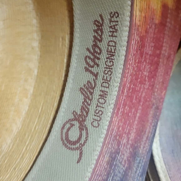 Charlie One Horse Tularosa rainbow tie- dye palm straw hat new - Picture 3 of 5